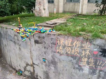 超酷!校园墙壁破损,被五位大学生用积木“修葺一新” 超酷!校园墙壁破损,被五位大学生用积木“修葺一新”