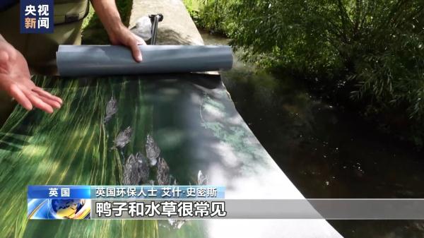 “水质整个欧洲最糟”，英国为何水污染问题频发？