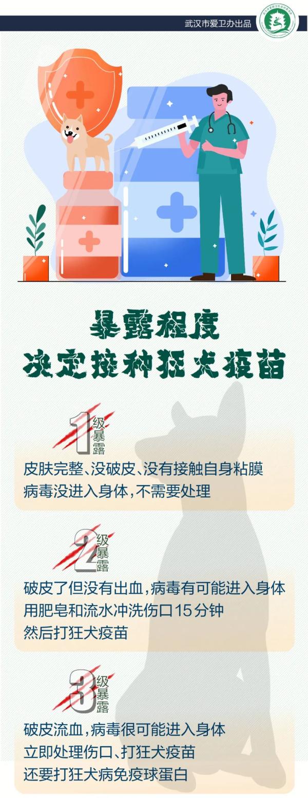 被狗咬伤，不打狂犬疫苗会要命吗？