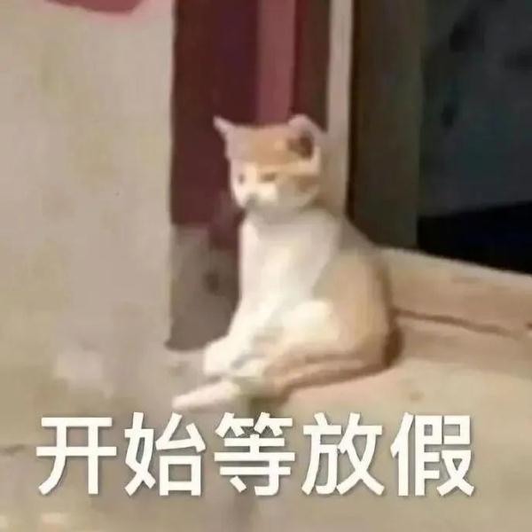 假期前最后一天，你是什么状态？