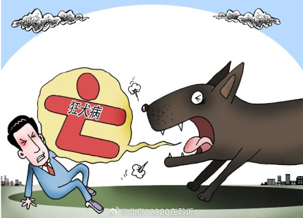 狂犬病暴露是什么意思？哪些情况需要接种狂犬疫苗？