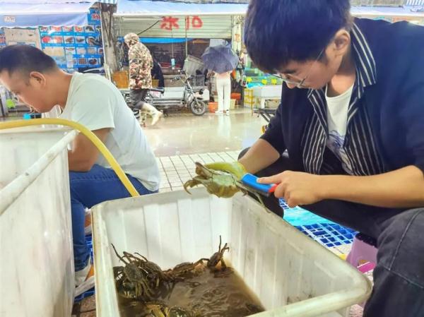 “双节”上海海鲜销售如何？记者实探：部分海鱼价格较往年下降，这类产品受欢迎→