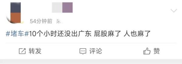 一觉醒来“堵”上热搜第一！有人已打道回府！网友感叹：上了高速发现全是聪明人……