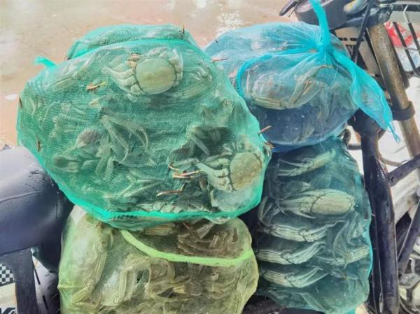 “双节”上海海鲜销售如何？记者实探：部分海鱼价格较往年下降，这类产品受欢迎→