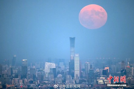 中秋氛围感拉满了 中秋氛围感拉满了