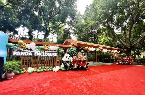 重庆动物园6只大熊猫要搬新家啦! 重庆动物园6只大熊猫要搬新家啦!