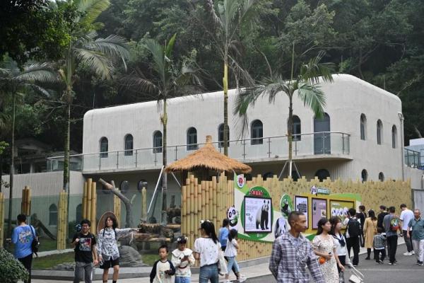 重庆动物园6只大熊猫要搬新家啦! 重庆动物园6只大熊猫要搬新家啦!