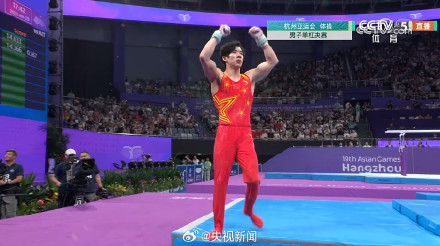 金牌+1！张博恒单杠金牌