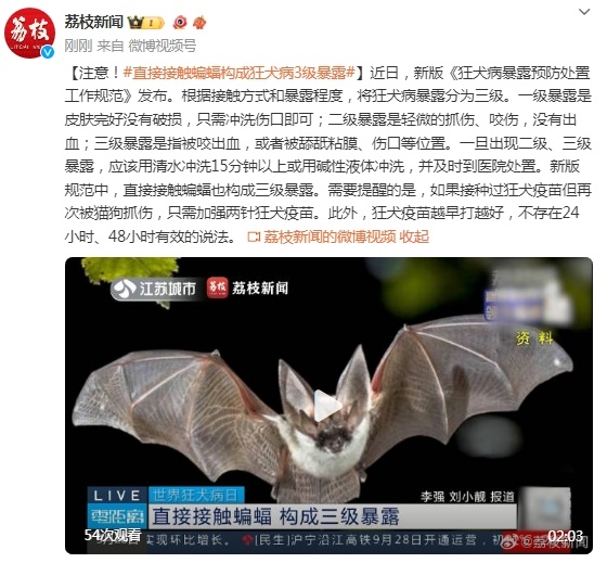 注意！直接接触蝙蝠，构成狂犬病3级暴露