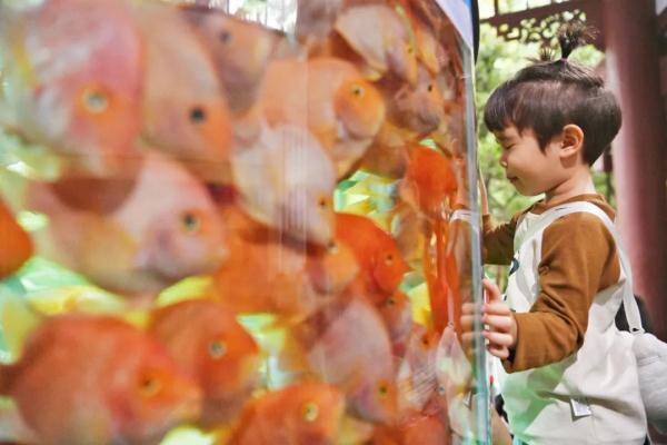 重庆动物园6只大熊猫要搬新家啦! 重庆动物园6只大熊猫要搬新家啦!