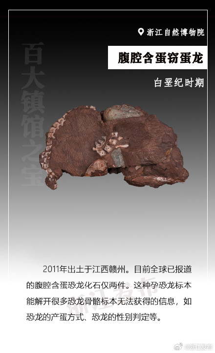 浙江“镇馆之宝”大赏——腹腔含蛋窃蛋龙