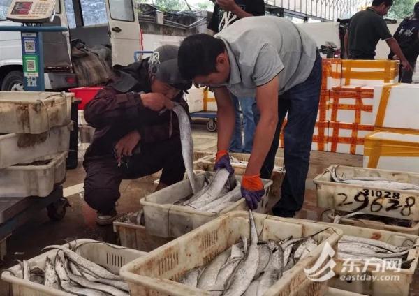 “双节”上海海鲜销售如何？记者实探：部分海鱼价格较往年下降，这类产品受欢迎→
