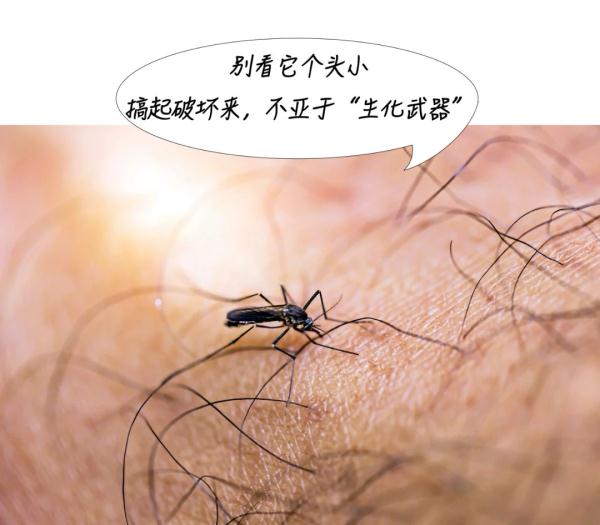 事关黄金周出游！长沙疾控最新提醒