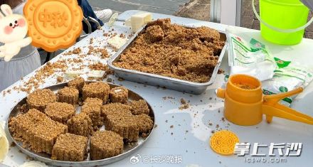 真香！长沙生态动物园的萌宠也吃上月饼啦