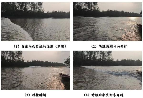 何时观潮最佳？这份观潮攻略请收好