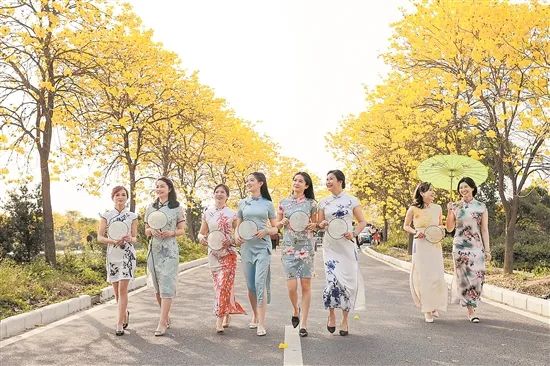 特色文旅注活力 岭南盆景成网红