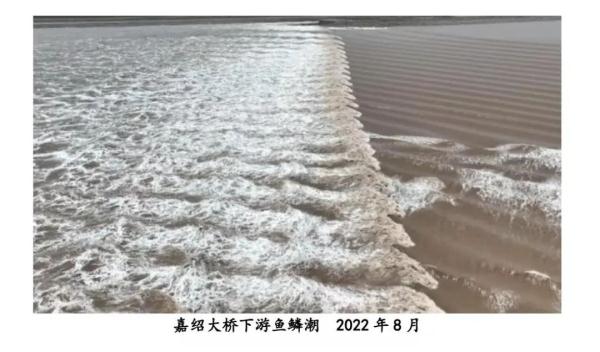 何时观潮最佳？这份观潮攻略请收好