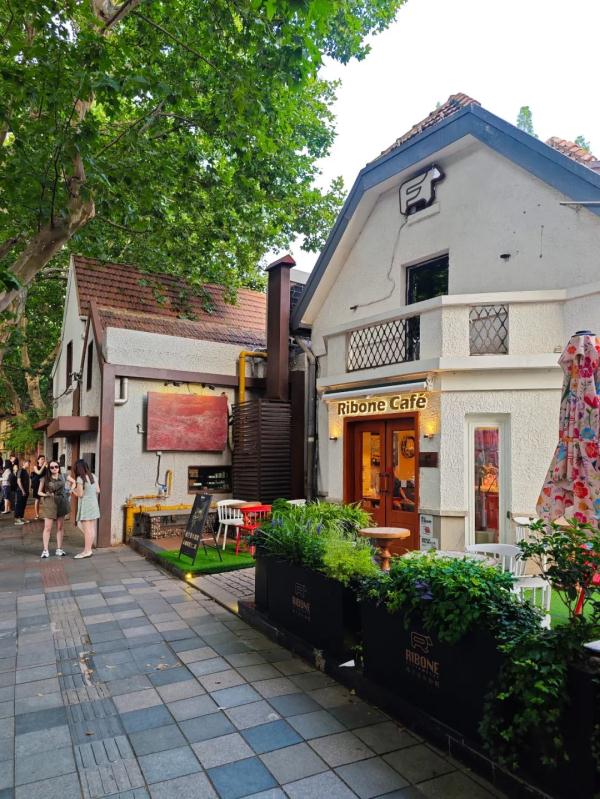 在梧桐树下Citywalk,每次逛都有新发现! 在梧桐树下Citywalk,每次逛都有新发现!