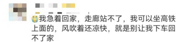 高铁因超员无法发车？“先上车后补票”被赶下车？铁路部门回应！警惕这种诈骗→