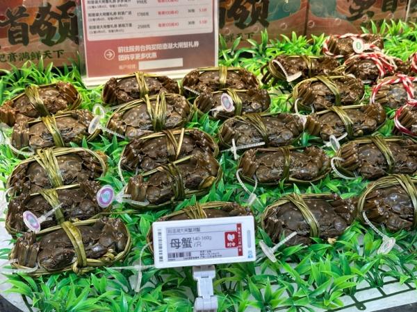 各大产区大闸蟹产量普涨,今年大闸蟹价格降10% 各大产区大闸蟹产量普涨,今年大闸蟹价格降10%
