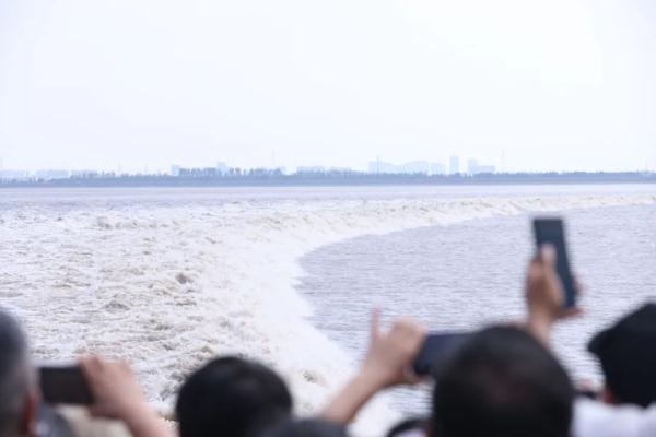 游客量超10万！该景区限流