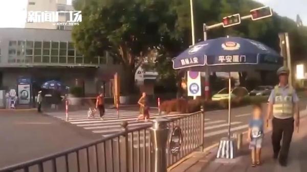 男孩独自在街头边走边掉眼泪，幸好他来了......