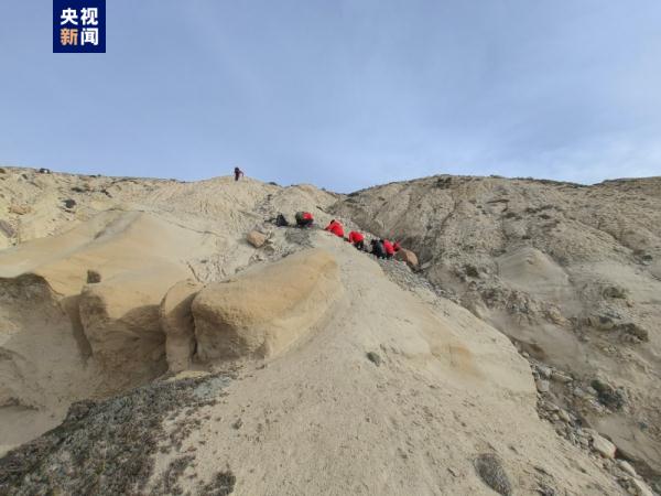 距今2.2亿年三叠纪鲨鱼化石和500万年前植物化石长啥样?最新科考成果来了 距今2.2亿年三叠纪鲨鱼化石和500万年前植物化石长啥样?最新科考成果来了