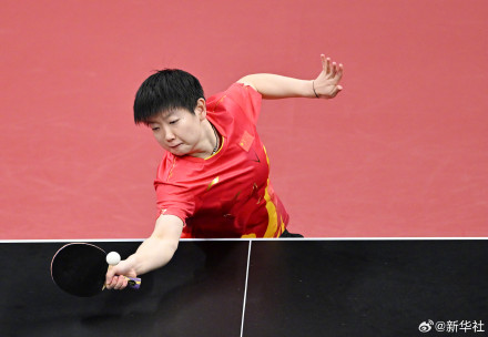 王楚钦说请继续为国乒加油