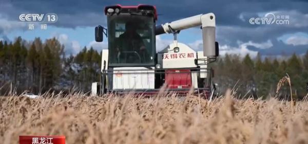 金秋山河多锦绣 禾黍盈满“画”丰收