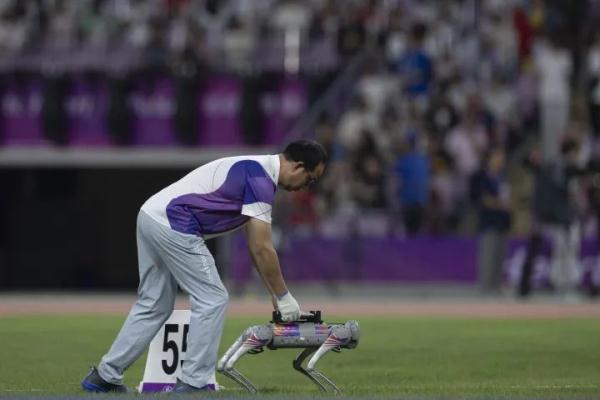 世界首次！“显眼包打工小狗” 来了