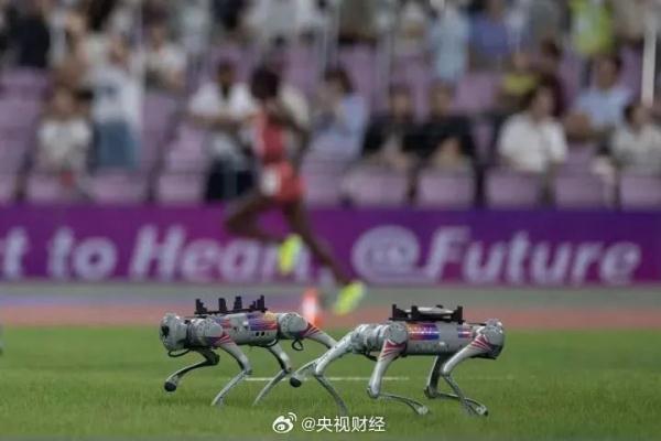 火到出圈儿的“亚运机器狗”其实不只会运铁饼 火到出圈儿的“亚运机器狗”其实不只会运铁饼