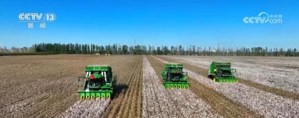 金秋山河多锦绣 禾黍盈满“画”丰收