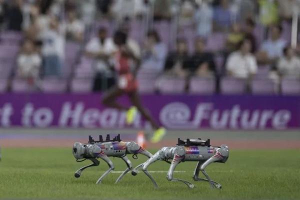 世界首次！“显眼包打工小狗” 来了