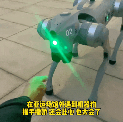 世界首次！“显眼包打工小狗” 来了