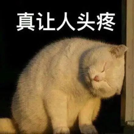 超强！明天深圳这些景区全部关闭！紧急提醒