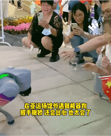 世界首次！“显眼包打工小狗” 来了