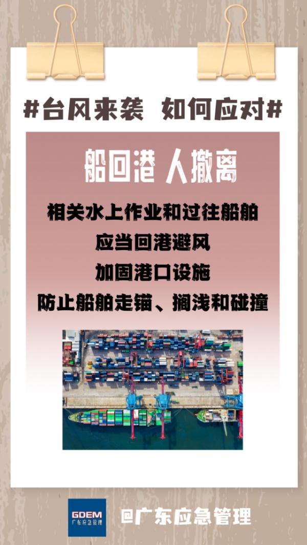 广东启动防风Ⅳ级应急响应！台风“小犬”破坏力大
