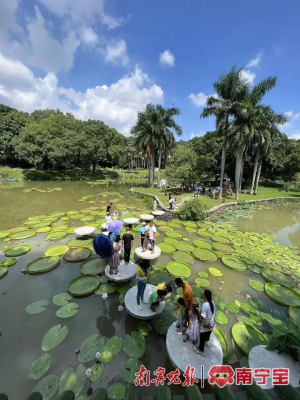 冷空气+台风登场！