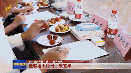 山东种出最甜枣王含糖量超梨2倍