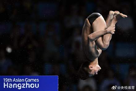 无愧“梦之队”称号 中国跳水队包揽10枚金牌
