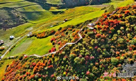 肃南马蹄乡的秋色太惊艳了！