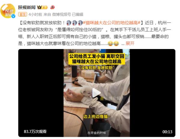 没有软肋就发放软肋！杭州一公司给转正新人发小猫
