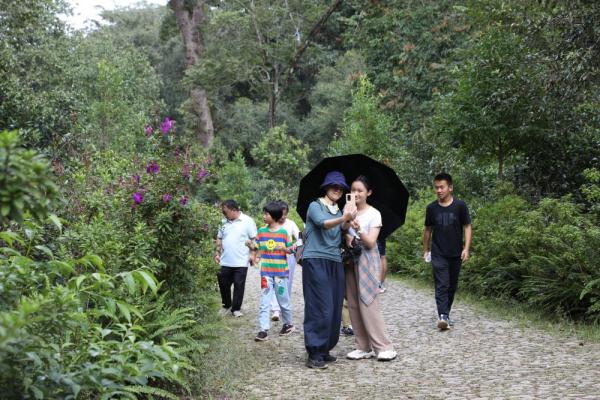 新晋世界遗产地景迈山迎来旅游打卡热潮