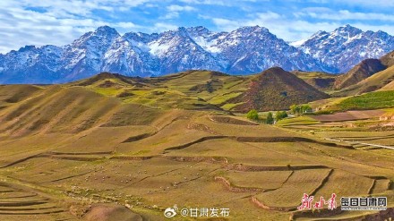 肃南马蹄乡的秋色太惊艳了！