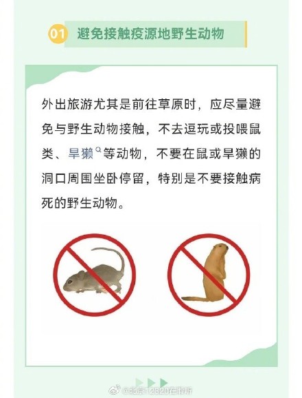 预防鼠疫，你需要知道的这些事