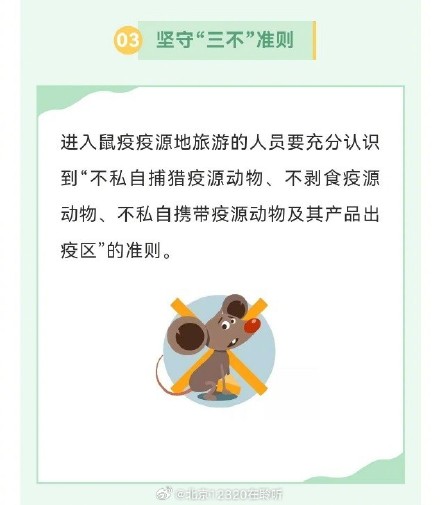 预防鼠疫，你需要知道的这些事