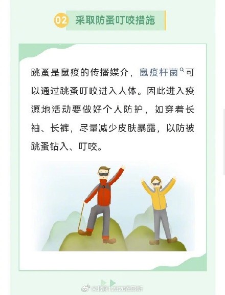 预防鼠疫，你需要知道的这些事