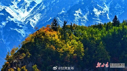 肃南马蹄乡的秋色太惊艳了！