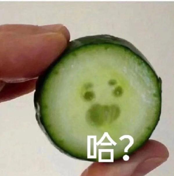 最新消息！台风“小犬”已靠近，还有新台风生成中......