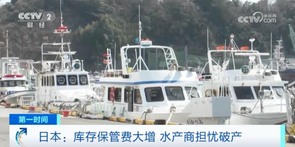 日本海鲜“堆积成山”！当地官员呼吁民众：多吃点